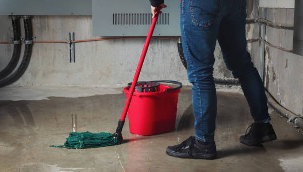Best Local water damage restoration  in Wilberforce, OH