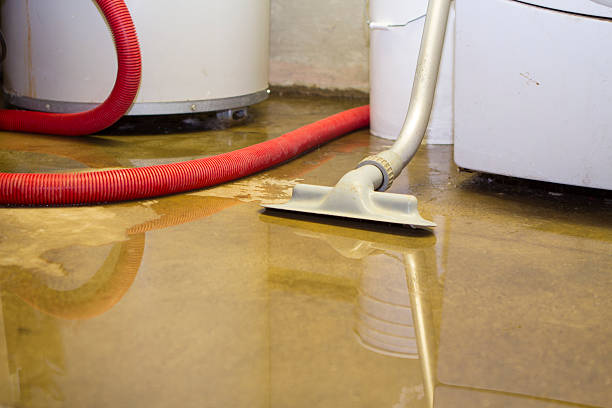 Best Basement water damage restoration  in Wilberforce, OH