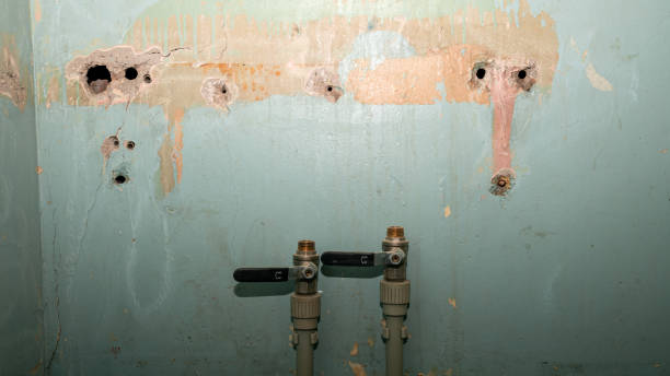 Best Flooded house restoration  in Wilberforce, OH