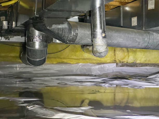 Best Professional water damage repair  in Wilberforce, OH