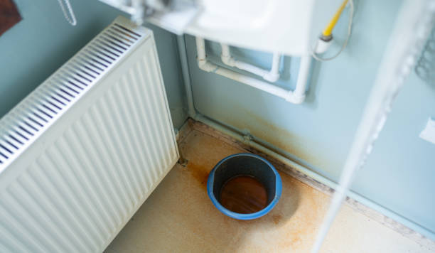 Best Fire Damage Restoration  in Wilberforce, OH