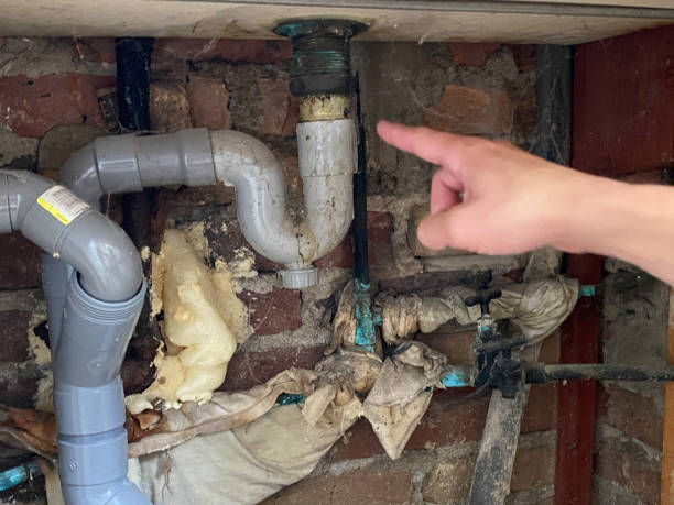 Best Water damage contractors near me  in Wilberforce, OH