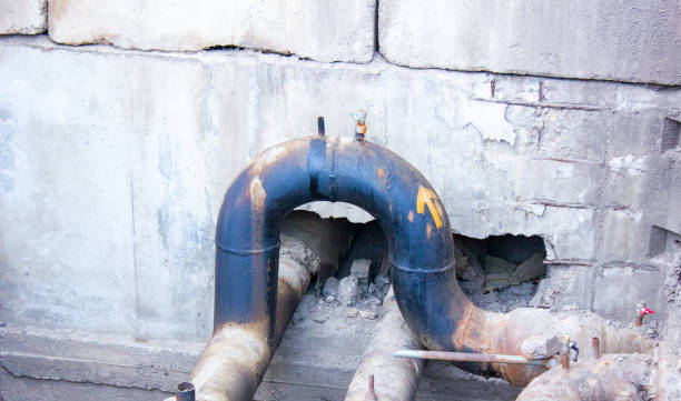 Best Water damage restoration mold remediation  in Wilberforce, OH