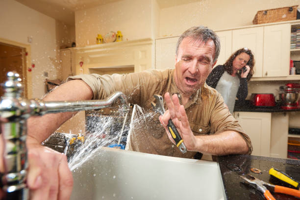 Best Water damage restoration specialists  in Wilberforce, OH